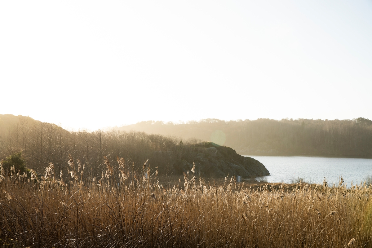 In Conversation with Norm Architects | LuxDeco.com | Archipelago House